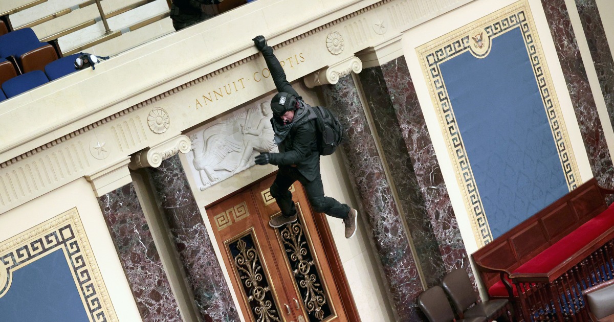 Idaho man who dangled from Senate gallery pleads guilty in Capitol riot ...