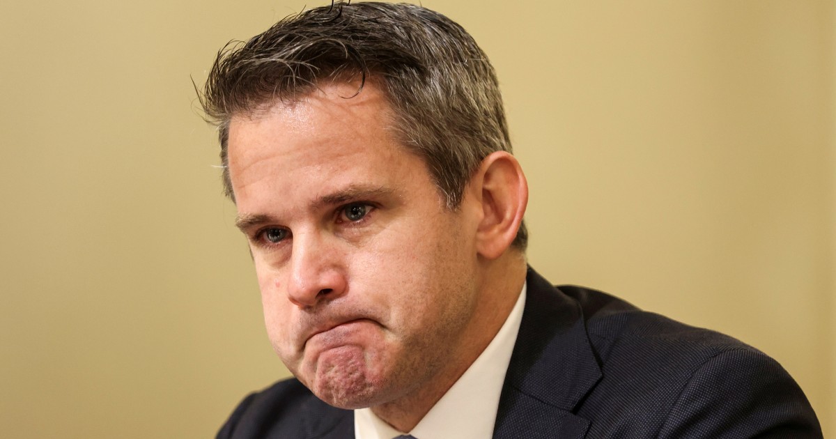 Rep. Adam Kinzinger fought Trump for the soul of his party. Trump won.