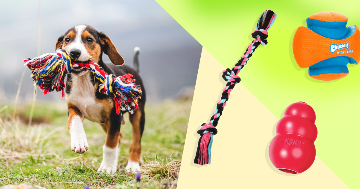 Plush Dog Toys-Unique designer soft dog toys, ideal dog gifts