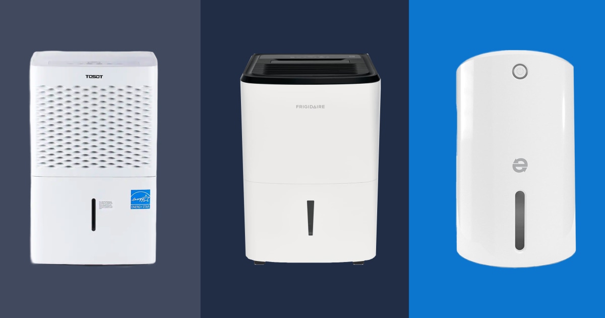 8 best dehumidifiers of 2024, according to experts