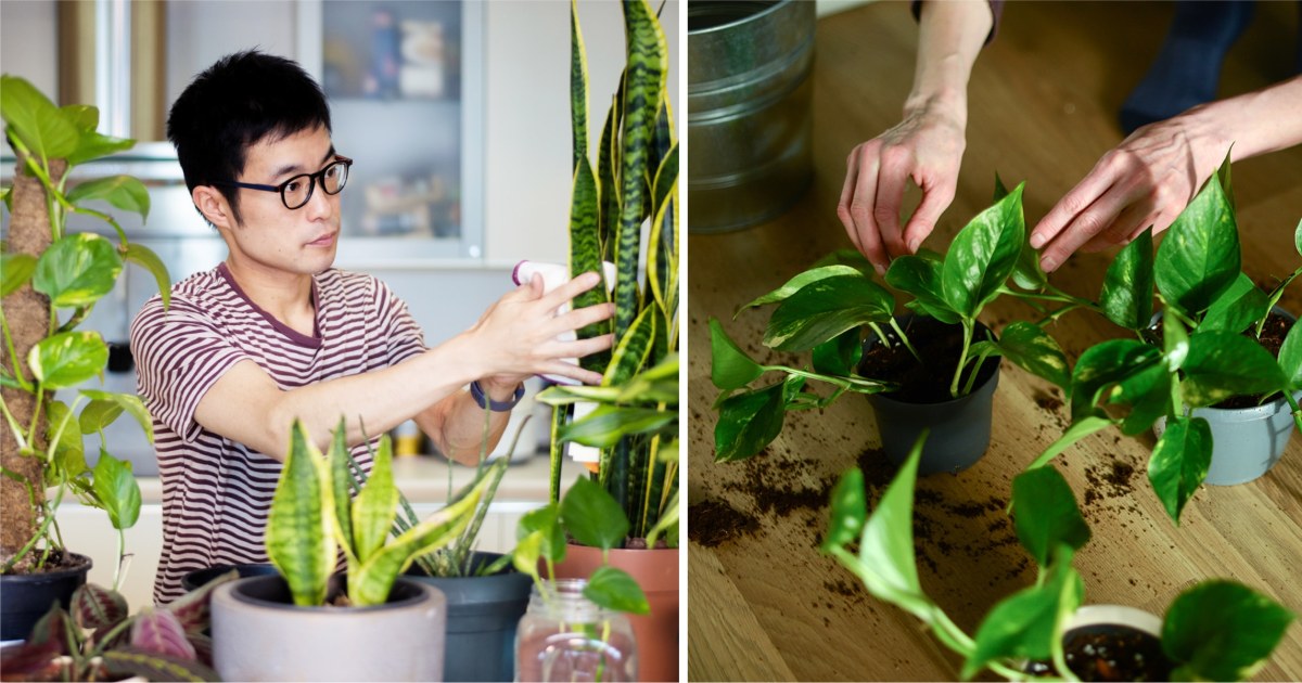 Artificial & Fake Plants You'll Love in 2024