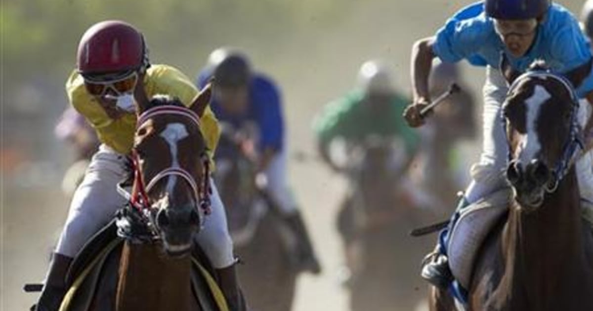 A Day At Iran S Races It S Not Betting It S Predicting