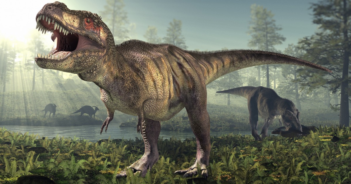 Like Godzilla, but actually real': study shows T. rex numbered 2.5