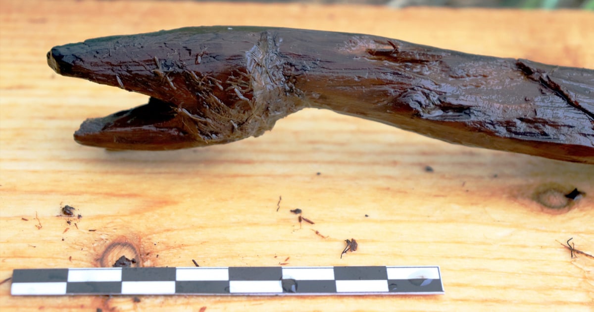 4400 gadus veca “čūsku apkalpe” atklāta Somijā