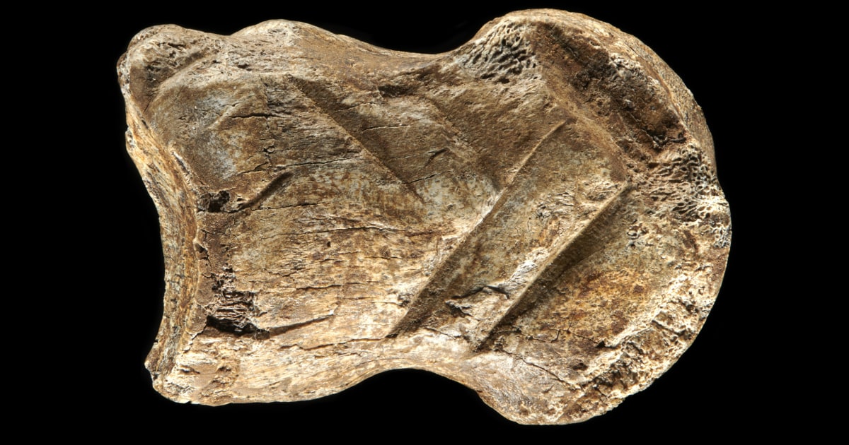 Các nhà nghiên cứu cho biết khúc xương chạm khắc 51.000 năm tuổi là một trong những tác phẩm nghệ thuật lâu đời nhất trên thế giới