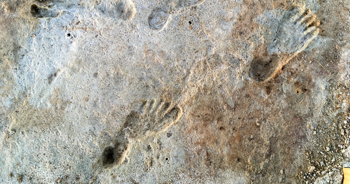 Fossil footprints show humans in North America more than 21000 years ago – NBC News