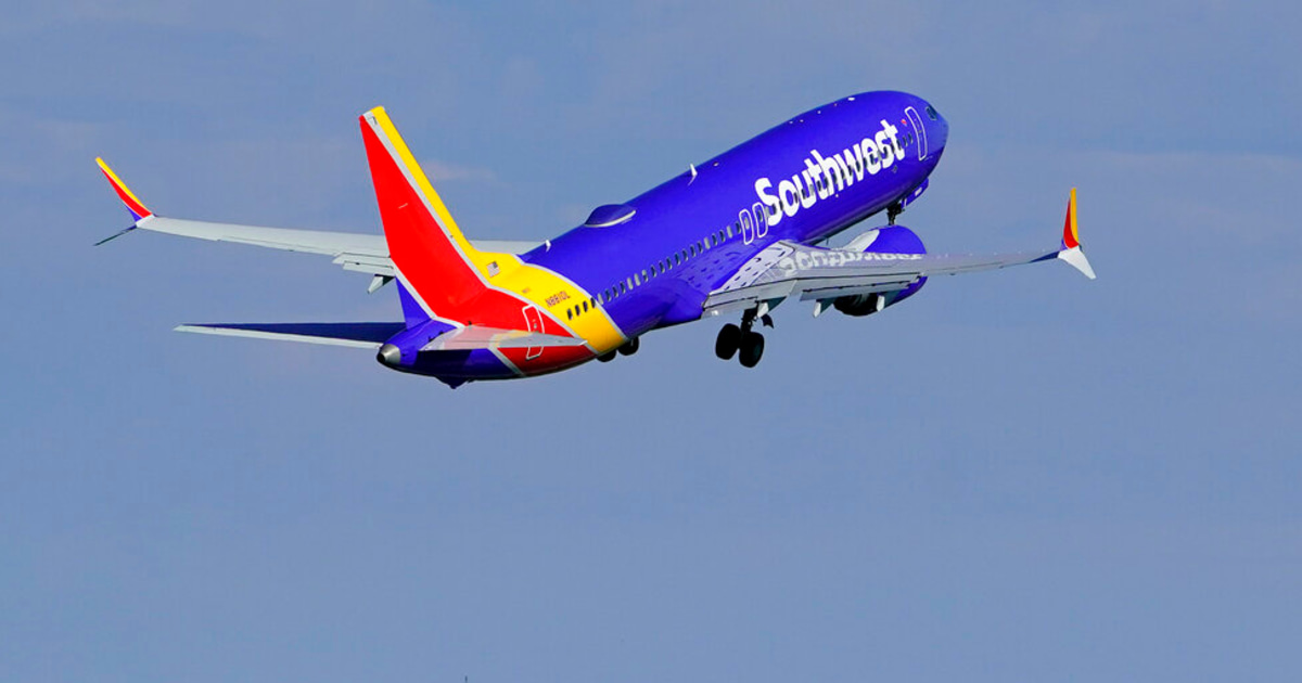Una perrita se esconde en la maleta de una pareja para irse con ellos en  avión de vacaciones