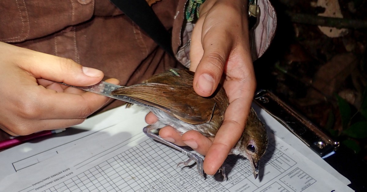 In pristine Amazon, signs of change