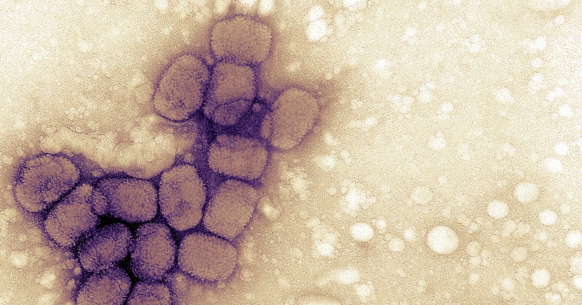 Vials found in Pennsylvania lab did not contain smallpox as labeled CDC says – NBC News