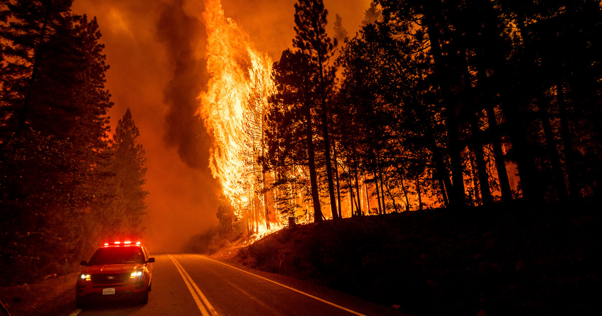 California’s massive Dixie Fire ignited after tree fell on PG&E electrical lines officials say – NBC News
