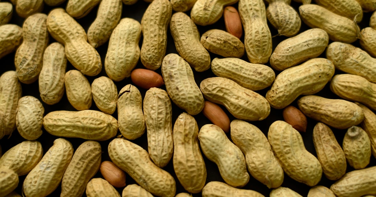 Early treatment could help ease peanut allergies in young kids, study says