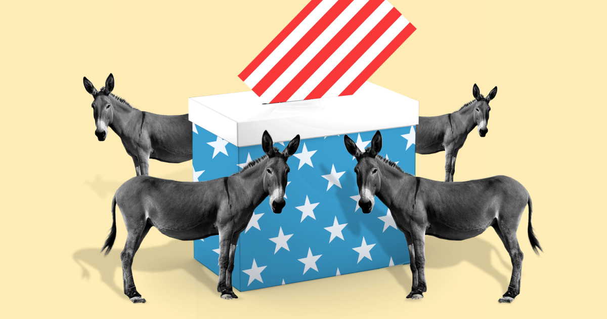 Democrats In Battleground States Zero In On A Midterms Pitch: Defending ...