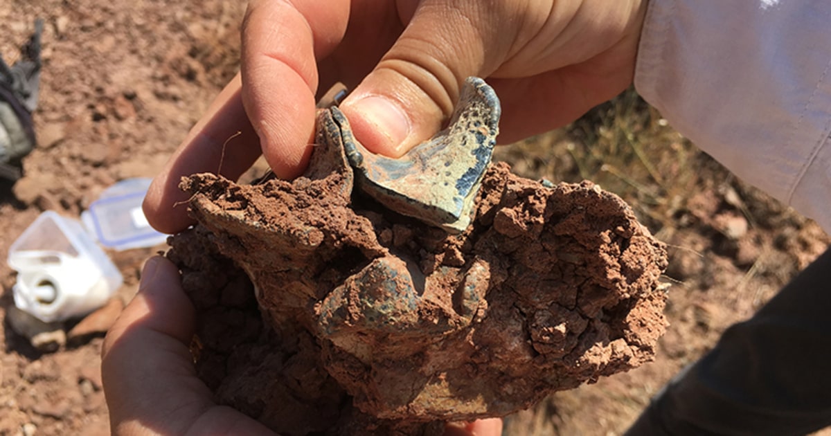 Científicos buscan restos del ‘continente perdido’ de la Tierra