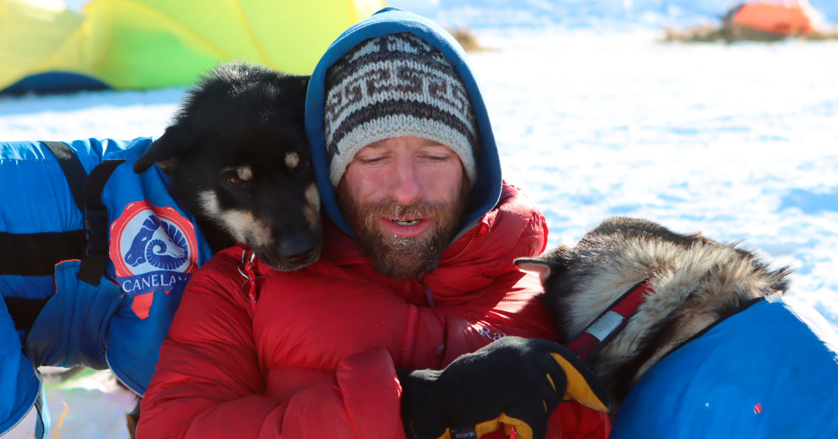 A pack of sled dogs owned by veterinarian Iditarod, the reality TV star who killed family pets in Alaska