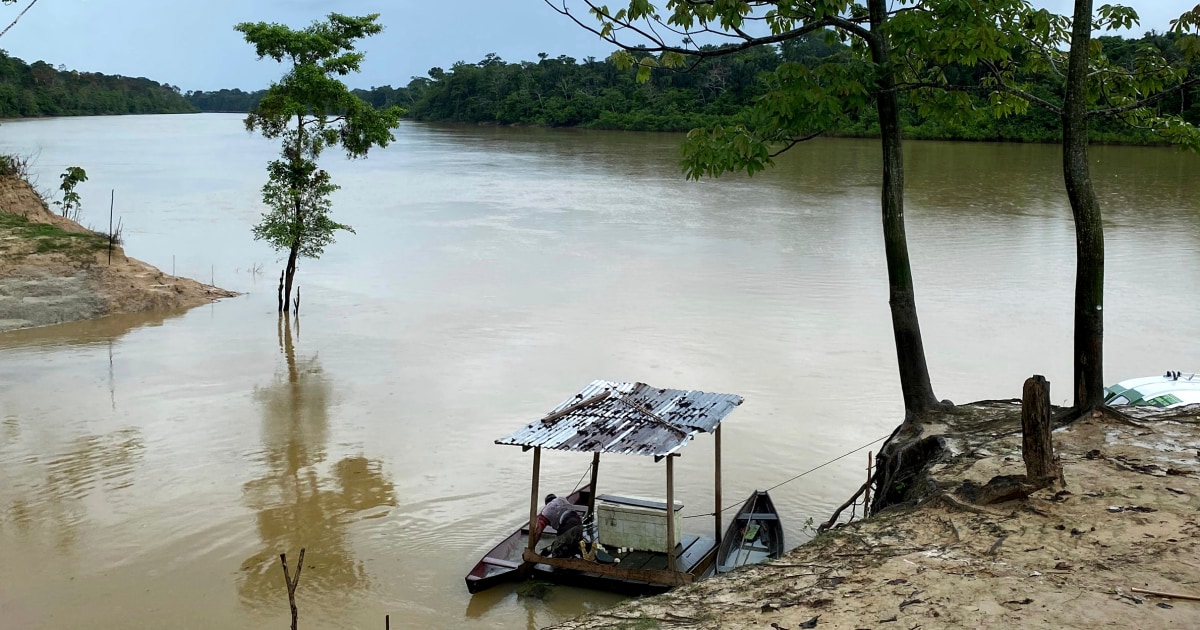 British journalist, Indigenous official missing in Amazon rainforest