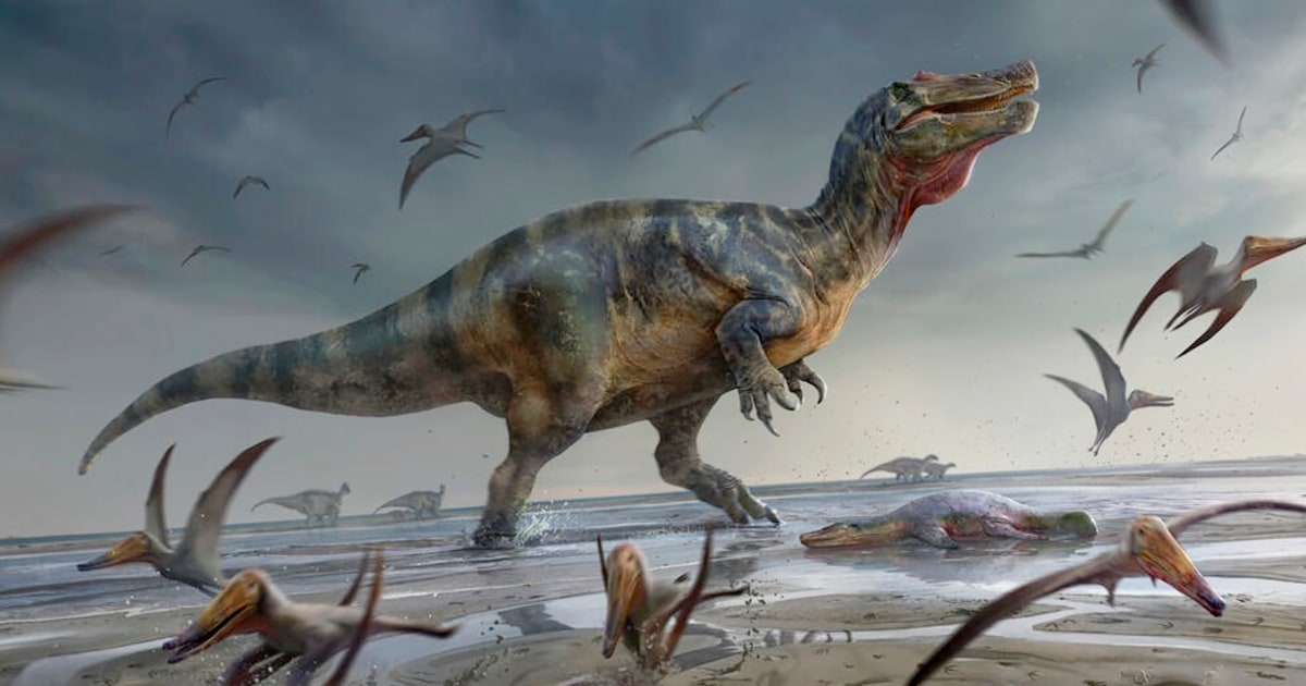 Jeden z největších evropských dravých dinosaurů byl objeven ve Spojeném království