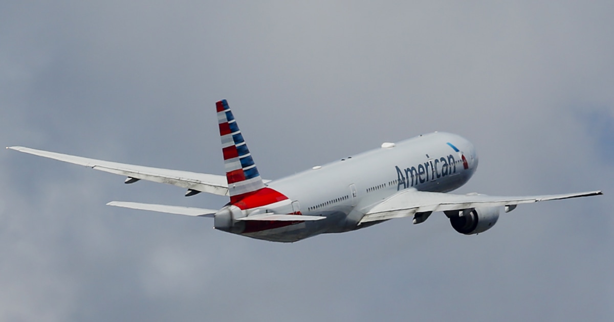 American Airlines passengers charged after being filmed punching a flight attendant