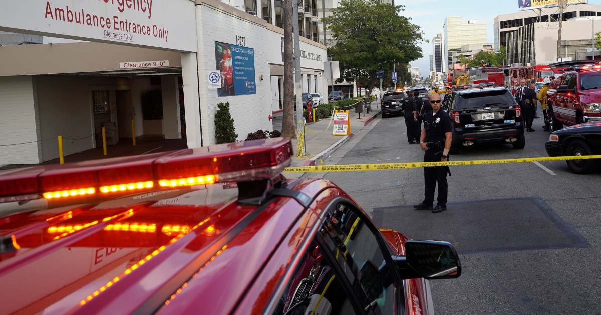 Suspect in custody after stabbing doctor, 2 nurses at Los Angeles