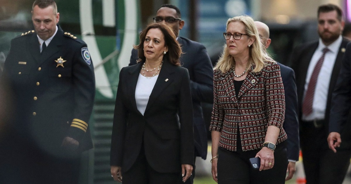 Harris in the spotlight as White House confronts Democratic frustration over guns and abortion rights