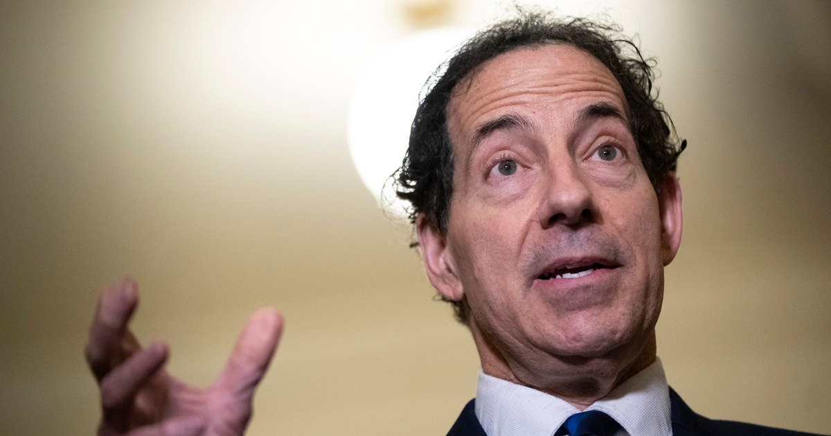 Raskin ethers Republican’s Second Amendment argument