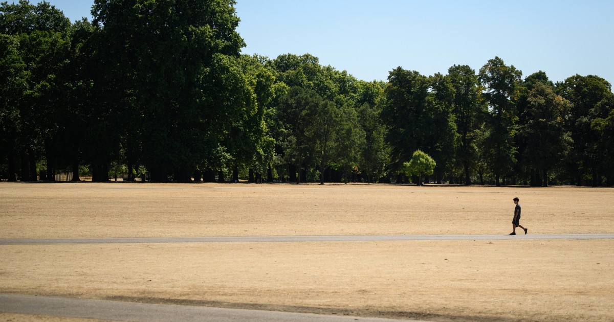 French forests burn and England's green countryside turns brown as Europe reels from heat waves