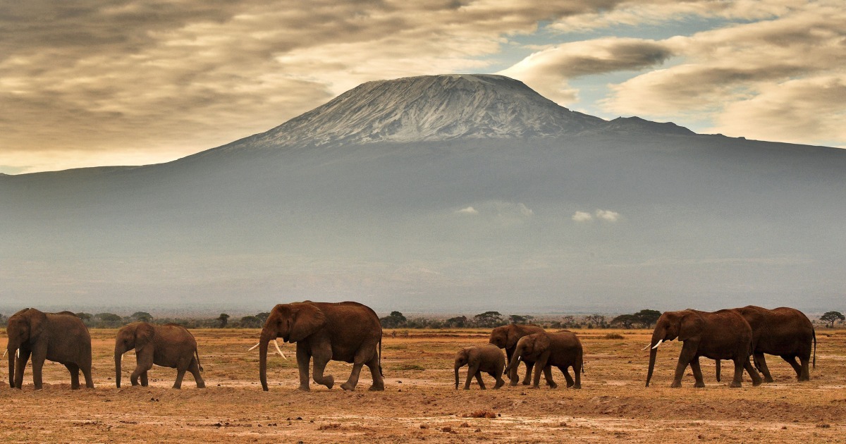 You can now tweet as you climb Mount Kilimanjaro thanks to new Wi-Fi ...