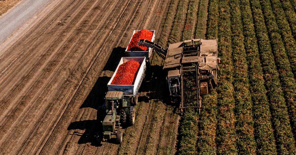 Farmers pushing for immigration reform to counter labor shortages and escalating food prices thumbnail