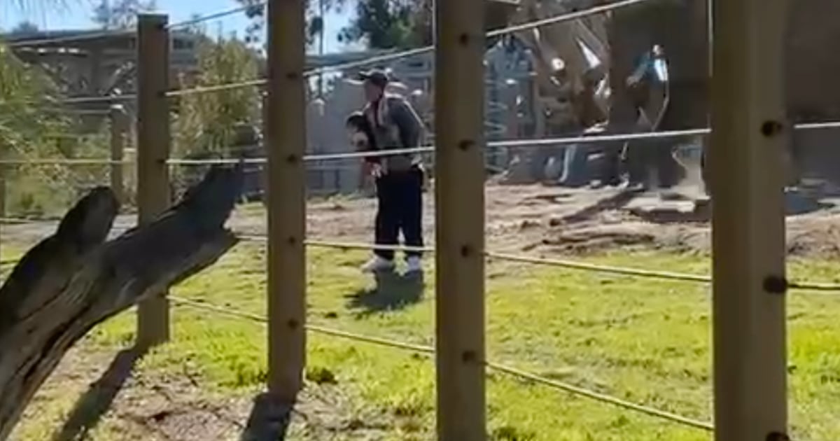 California man who carried his toddler into elephant habitat at San