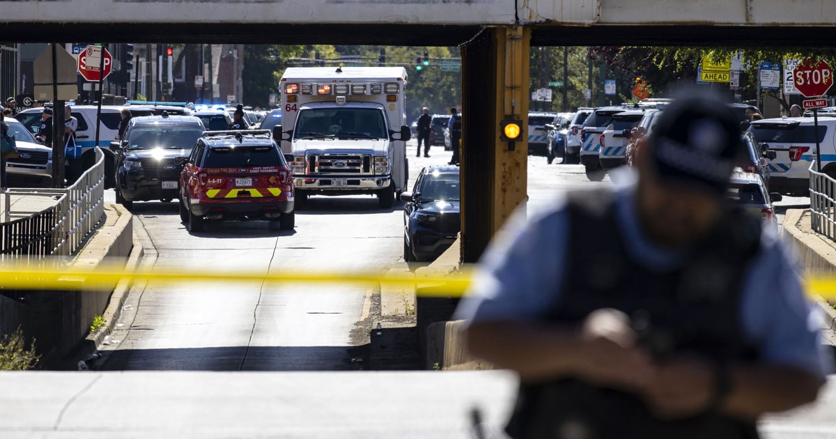 Man climbs five stories of Chicago police facility and is shot by ...