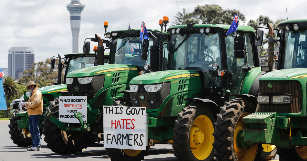 New Zealand farmers hit streets to protest cow-burp tax plan