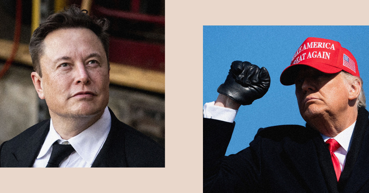 Elon Musk rétablit le compte Twitter de l’ancien président Donald Trump
