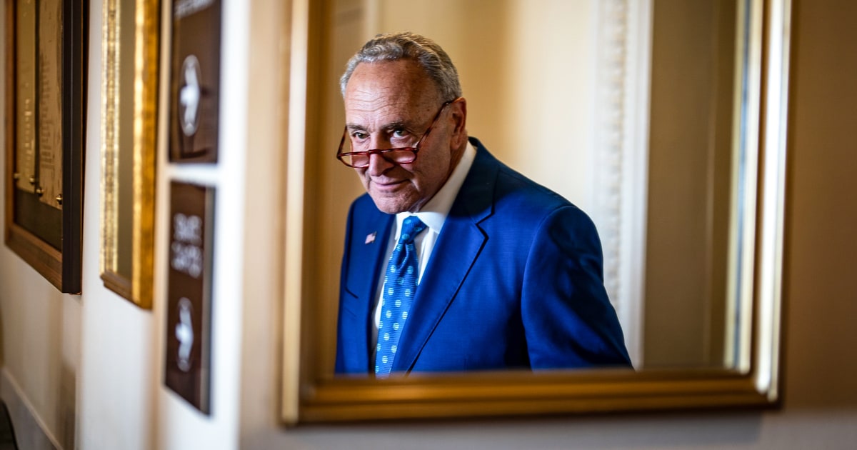 Schumer Reflects On How Senate Democrats Went From Infighting To Big ...