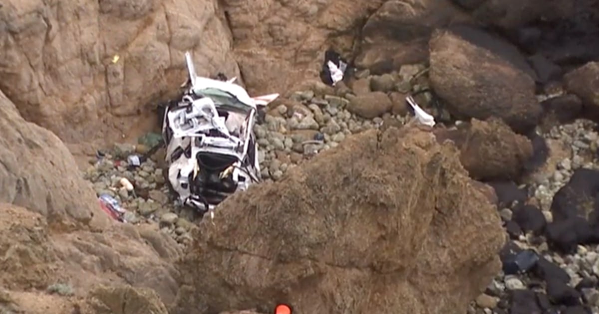 Luck, Tesla design likely saved family that plunged off cliff, experts say