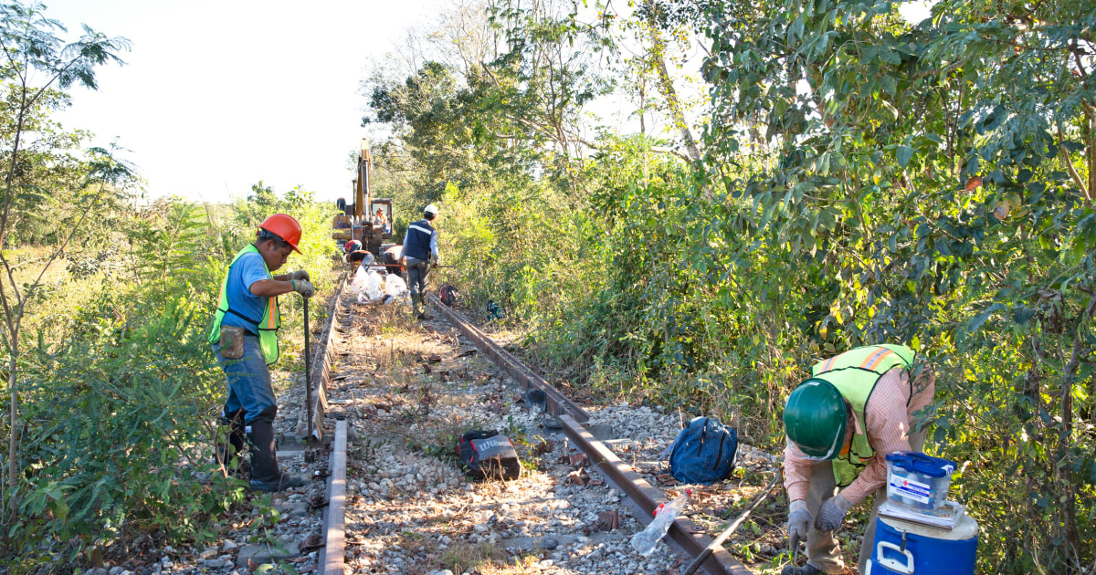 Mexico's Mayan Train threatens ancient, pristine areas, scientists warn