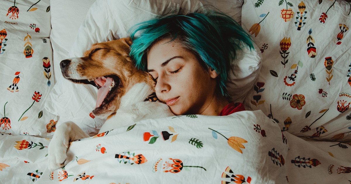 Having a pet may take a toll on your sleep, study suggests