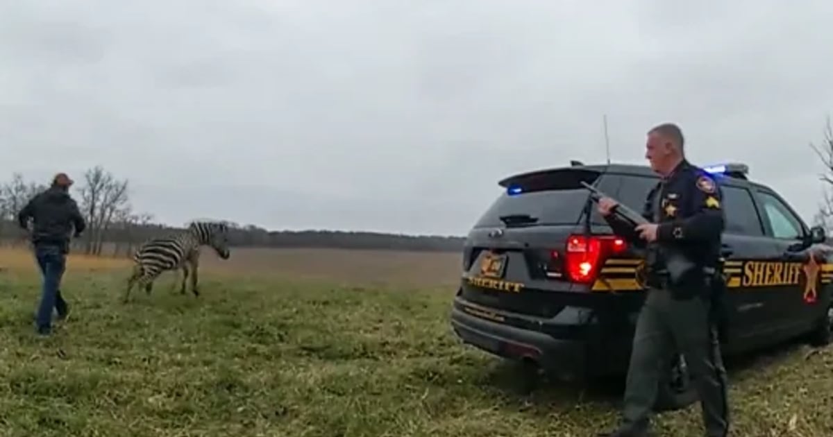 Ohio farmer nearly lost an arm after being bitten by a zebra on his own