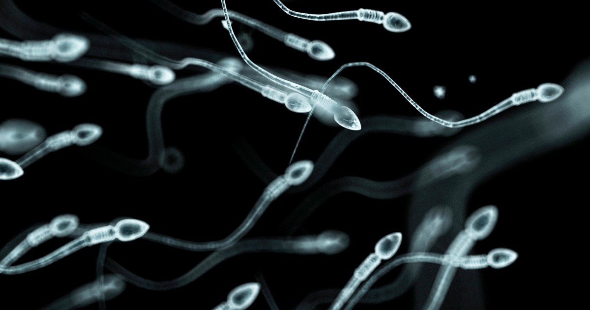 Ny Fertility Doctor Accused Of Using Own Sperm Dies When Hand Built 