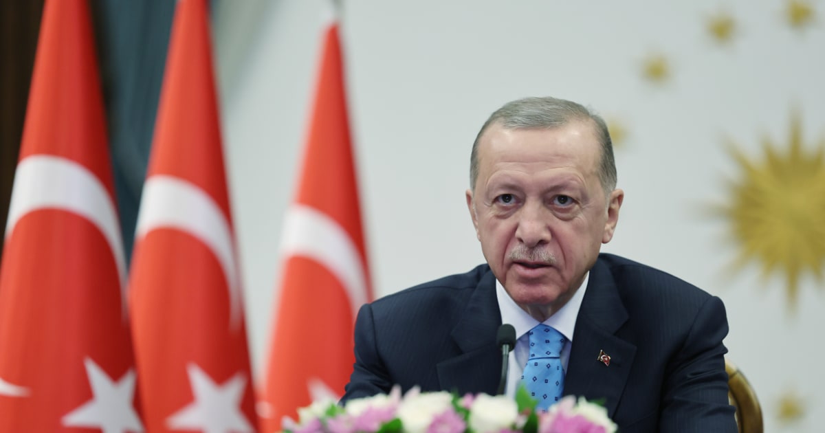 Islamic State leader killed in Syria, Turkish President Erdoğan says