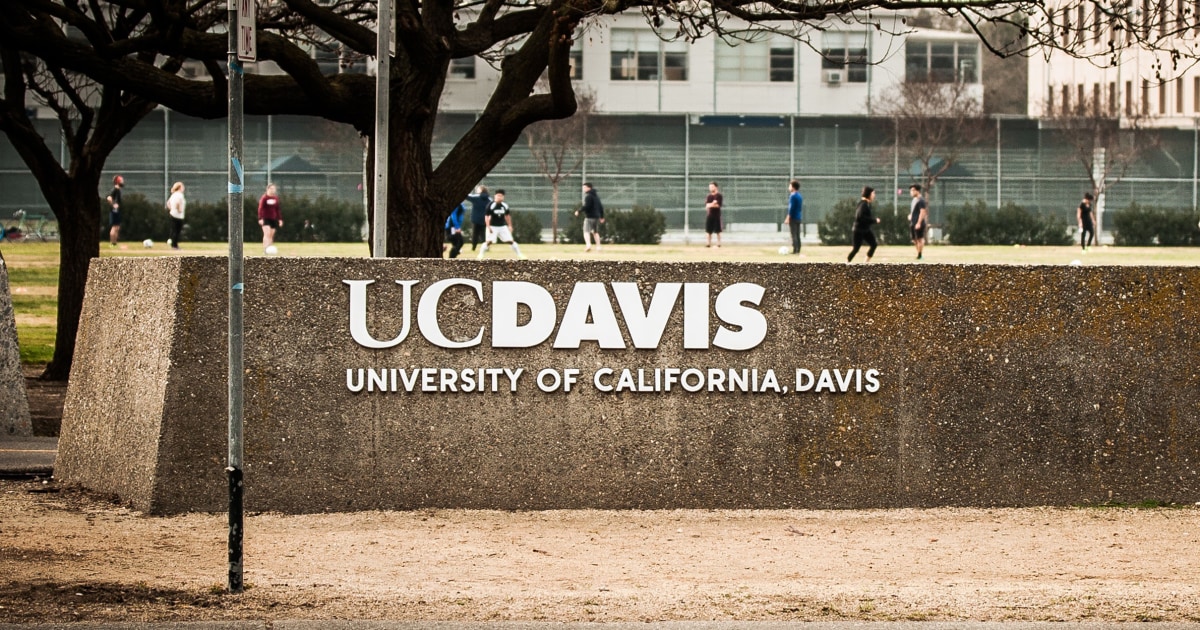 Apuñalamientos cerca de UC Davis provocan cambio a clases nocturnas remotas