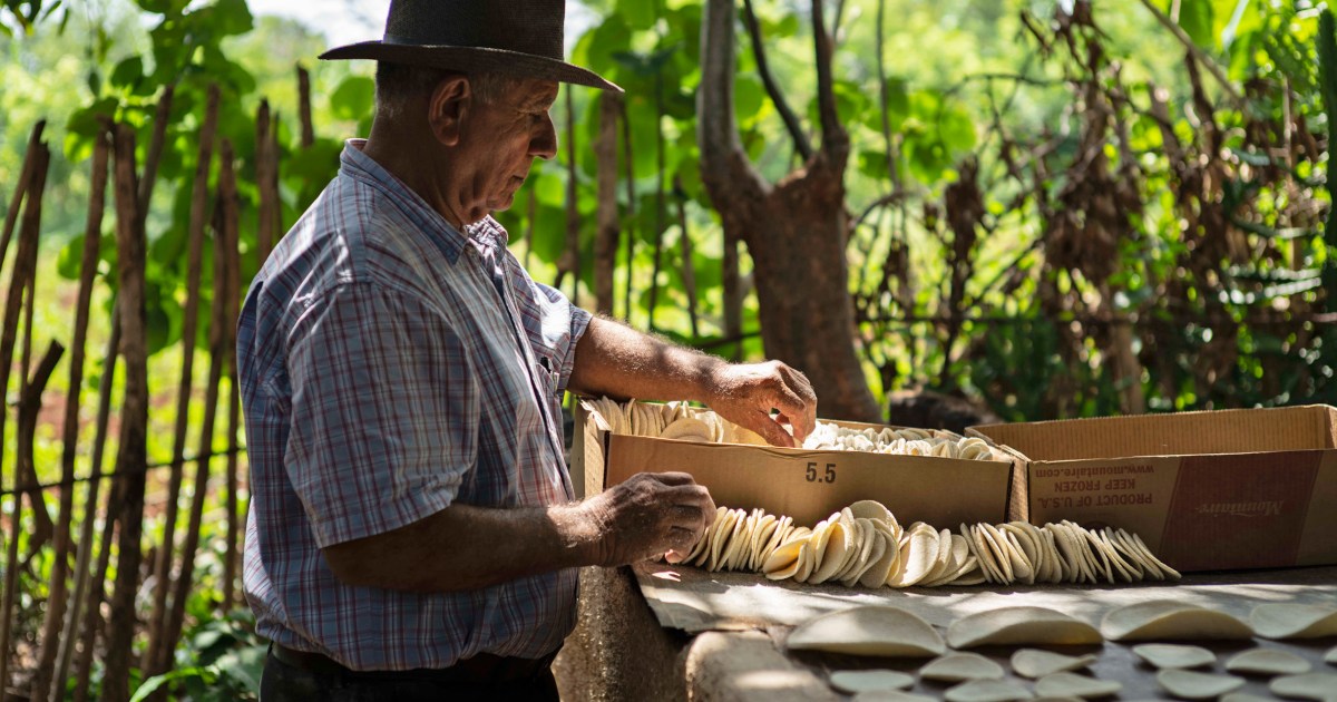 Cuba quiere casabe, hecho de yuca, en lista de patrimonio de la Unesco