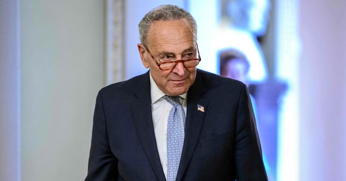 Schumer to call for an ‘all-hands-on-deck’ approach to regulating AI