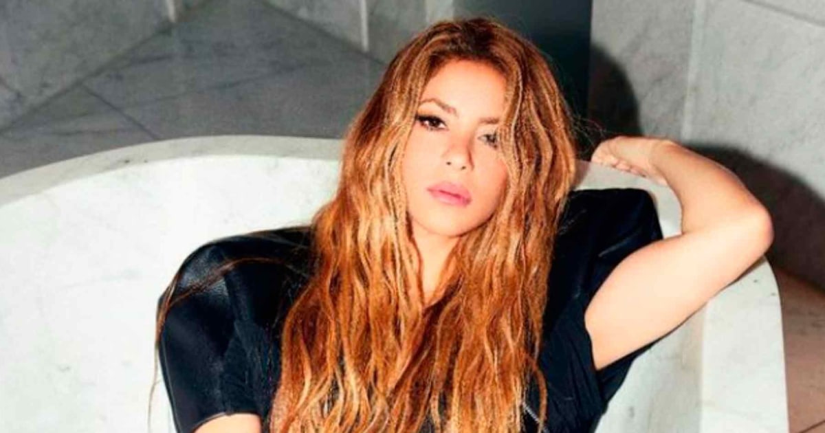 Shakira Surprises Fans with Bathtub Photos: What's Next for the Singer ...