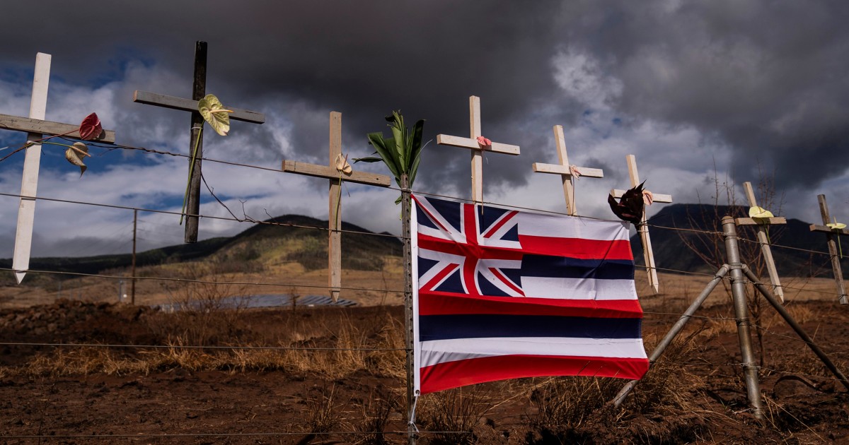 Hawaii Officials Urge Families Of The Missing After Deadly Fires To ...