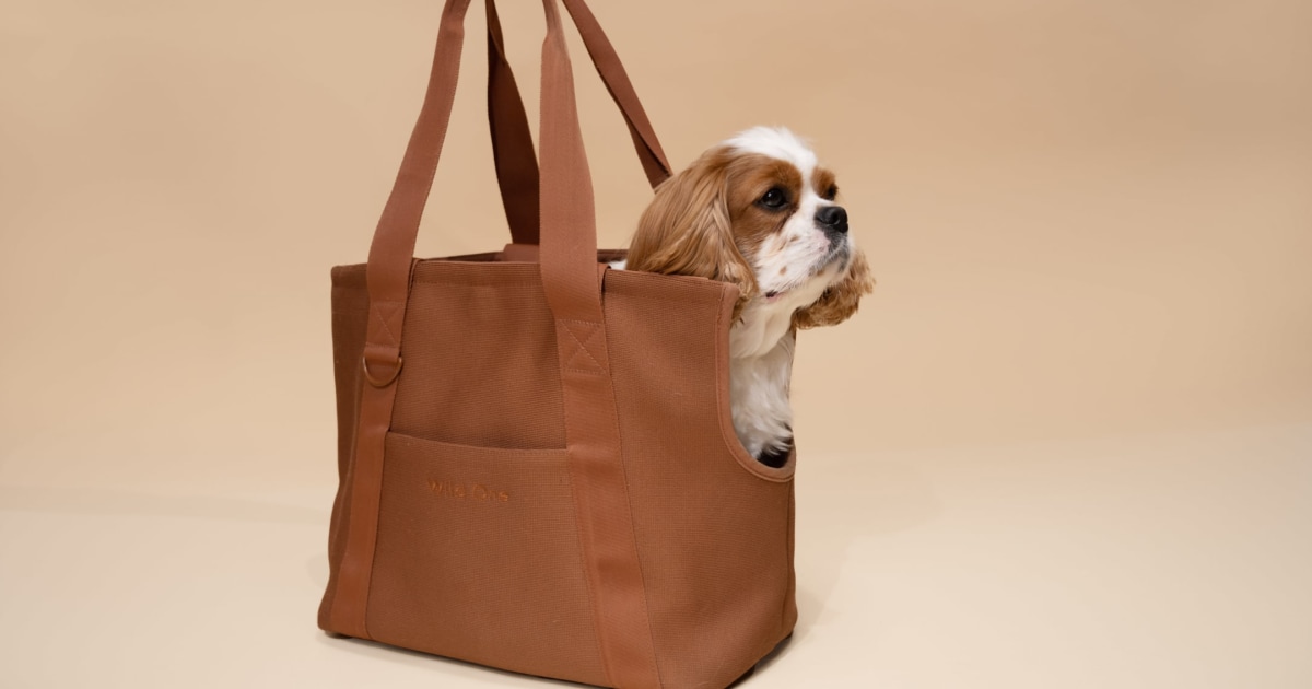 Carrying bag for dogs