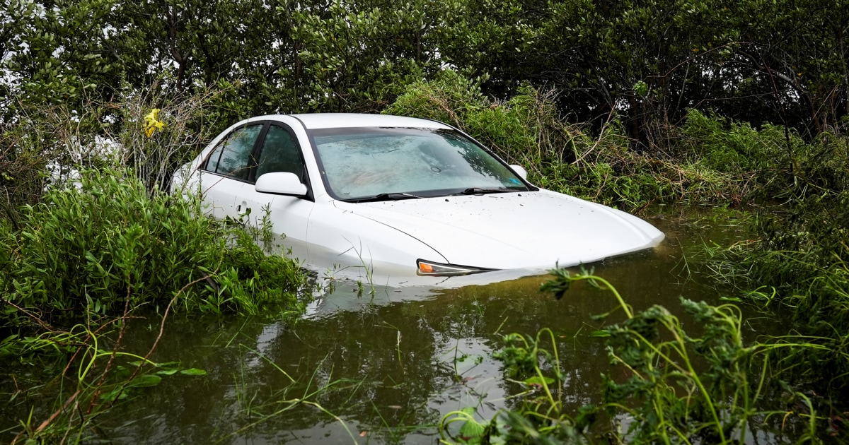 Florida residents who rode out Hurricane Idalia had to 'swim out of their windows,' couple says