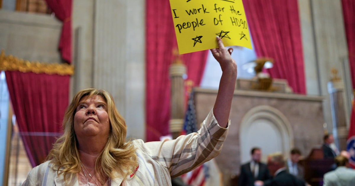 Tennessee Democrat reprimanded for gun violence protest is running for Senate