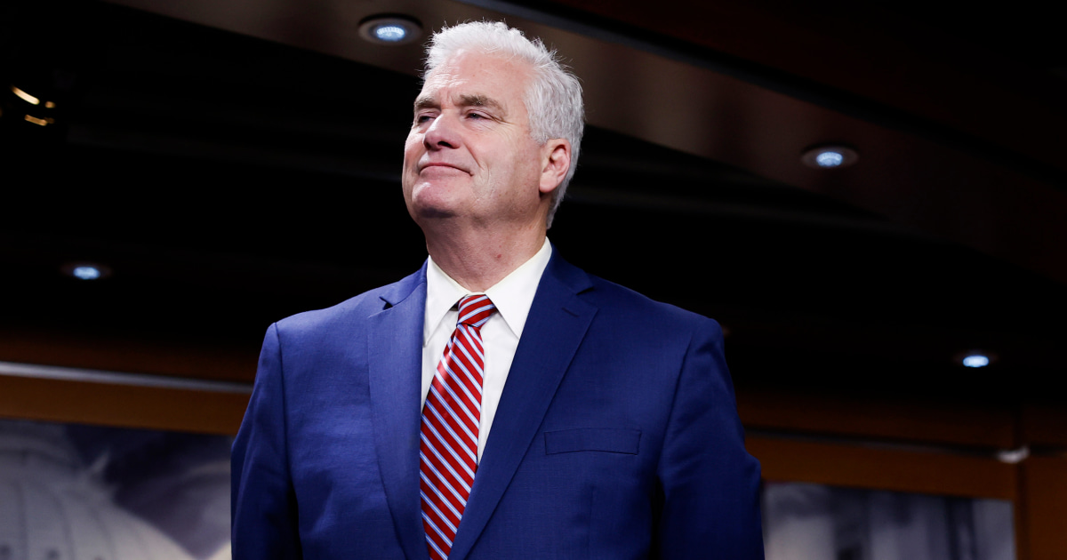
                            McCarthy’s GOP critics reportedly eye his possible successor