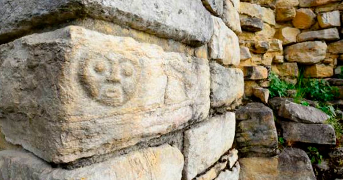 Hallan Rostros Tallados En Piedra Hace 2000 Años Tras Sequía Del Amazonas 