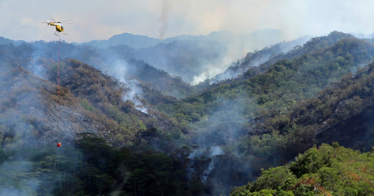 Hawaiian wildfires destroy irreplaceable rainforests on Oahu