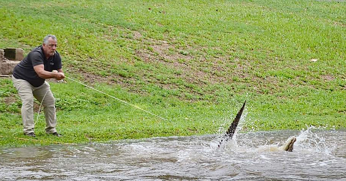 Циклонът носи наводнения и наблюдения на крокодили в североизточната част на Австралия